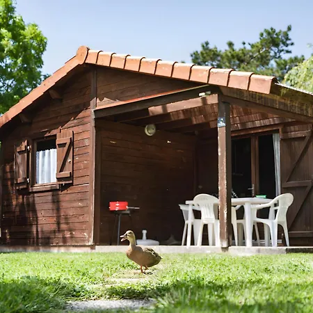 Bois 1 Domaine Les Epinettes * Saint-Gervais (Vendee)