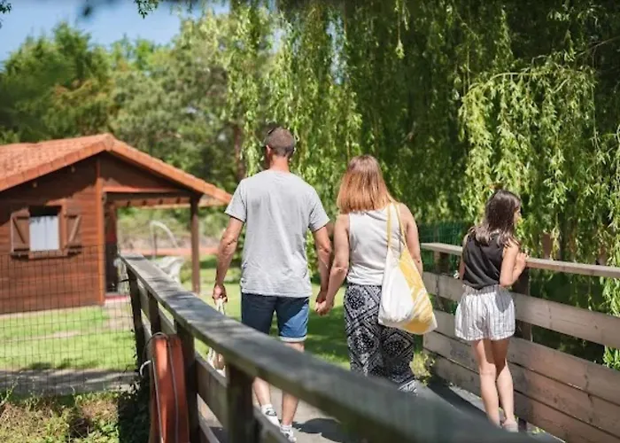 Campsite Bois 1 Domaine Les Epinettes *