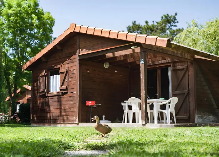 Bois 1 Domaine Les Epinettes * Saint-Gervais (Vendee)