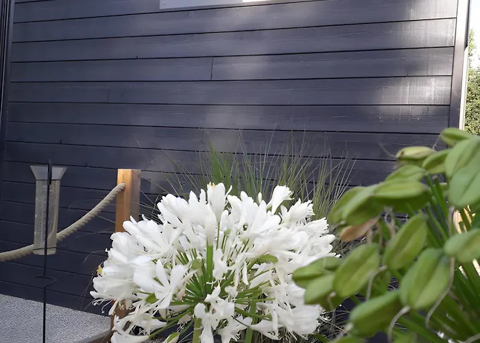 Campsite Bois 1 Domaine Les Epinettes Saint-Gervais (Vendee)