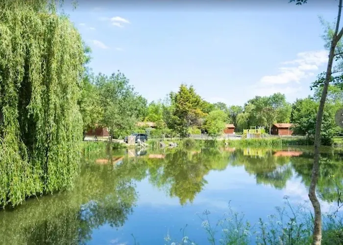 Bois 1 Domaine Les Epinettes